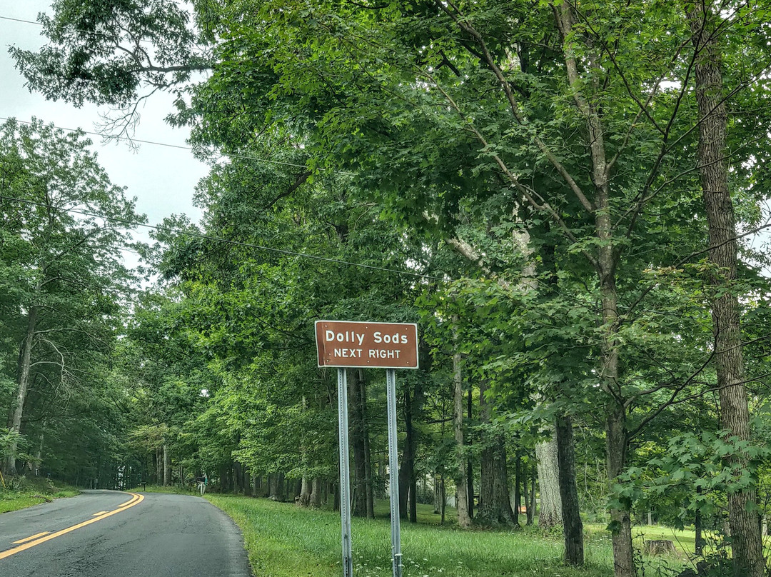 Dolly Sods Wilderness Area-Elkins必去景点