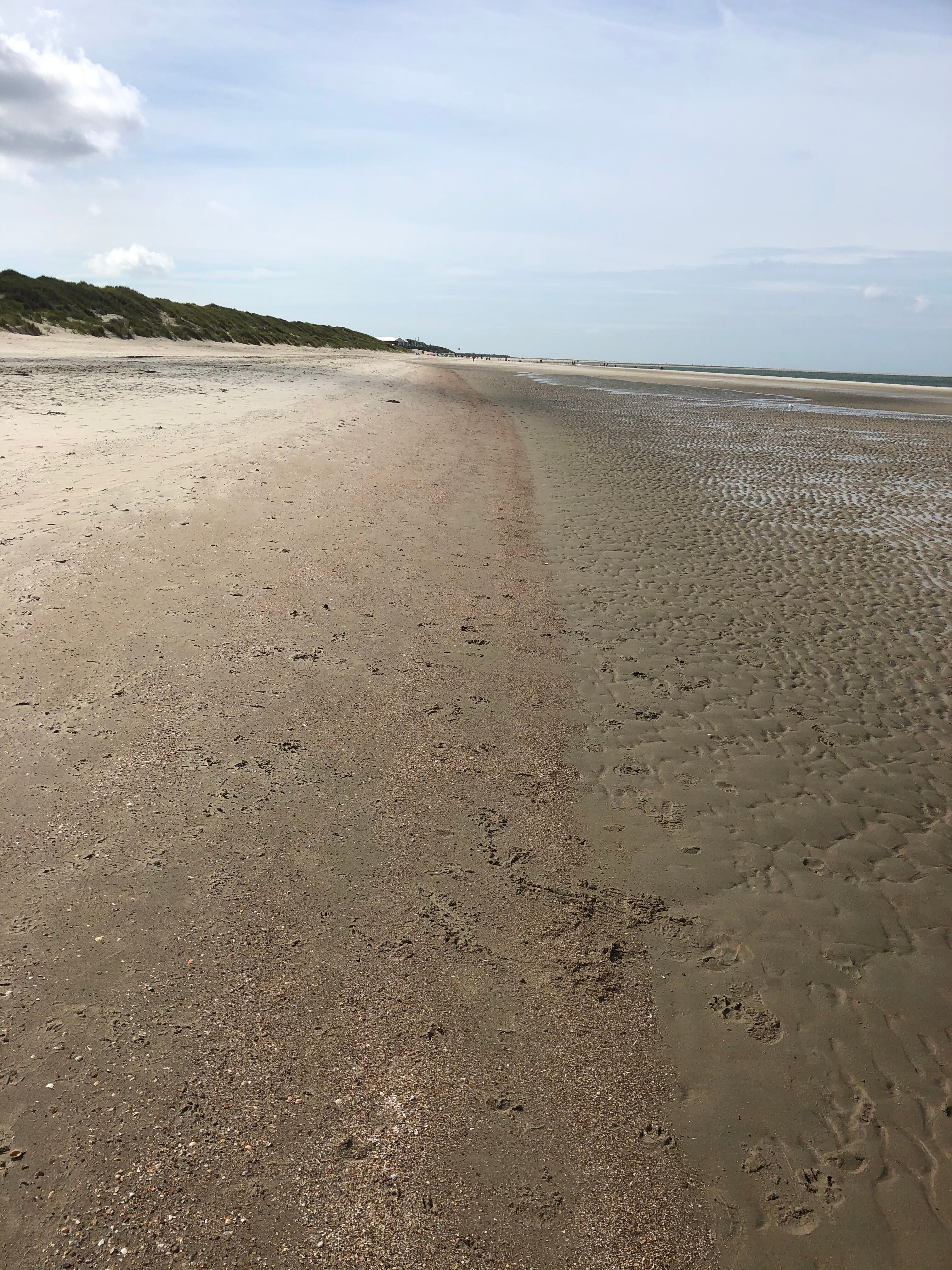 Strandhotel Dennenbos-官方
