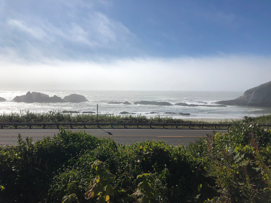 Seal Rocks RV Cove