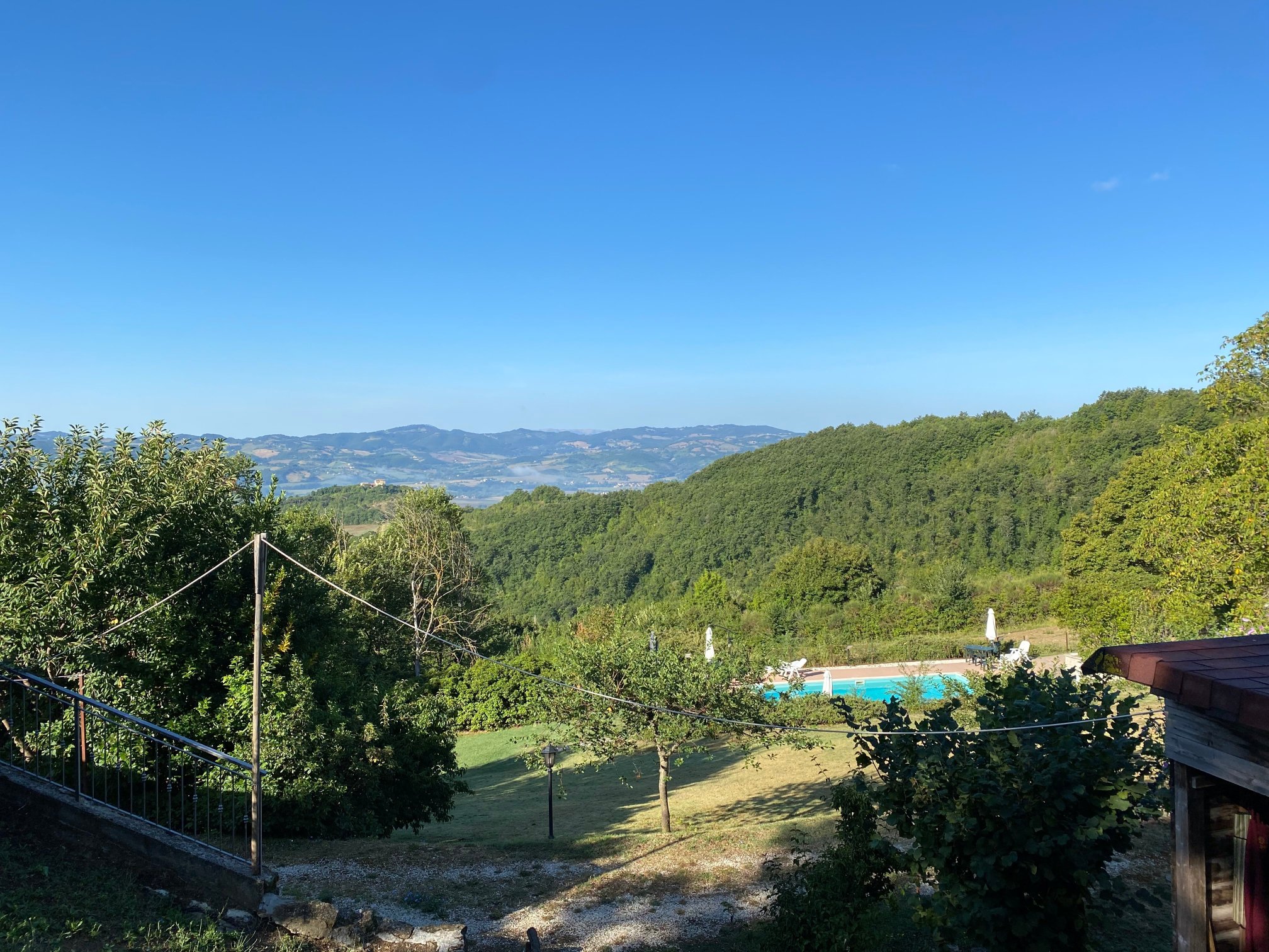 Cannabis Clinic & Restaurant-泳池