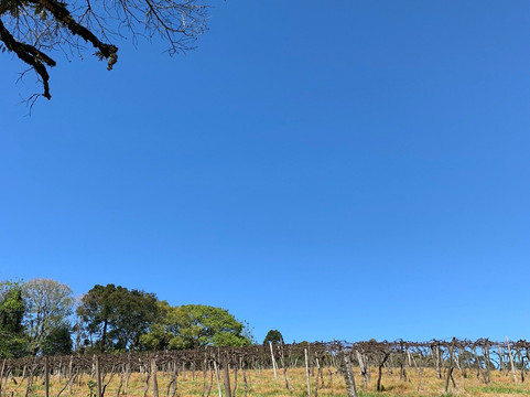 Pousada Don Giovanni主图