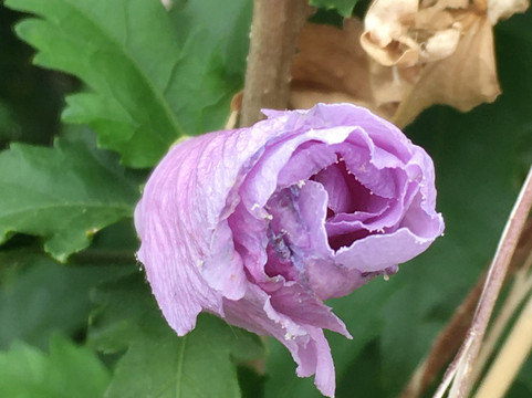 奇卡沙速8酒店主图