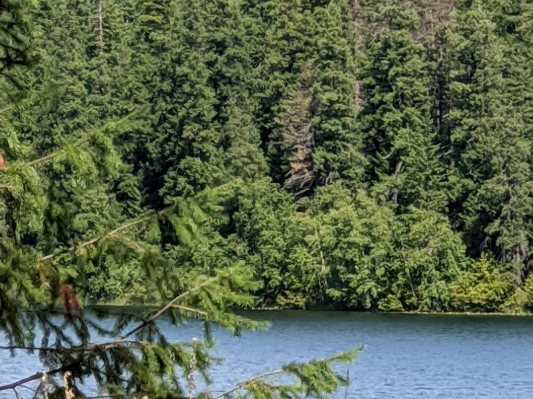 碧玉路旅馆主图