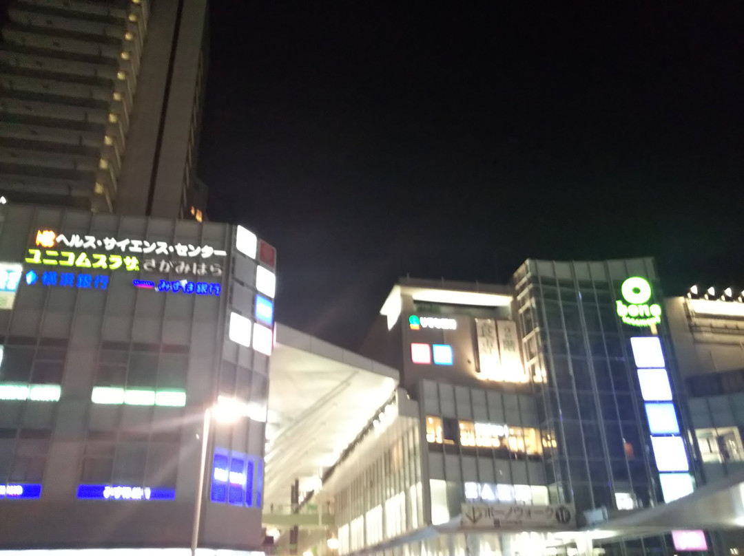 Bono Sagamiono-相模原市必去景点