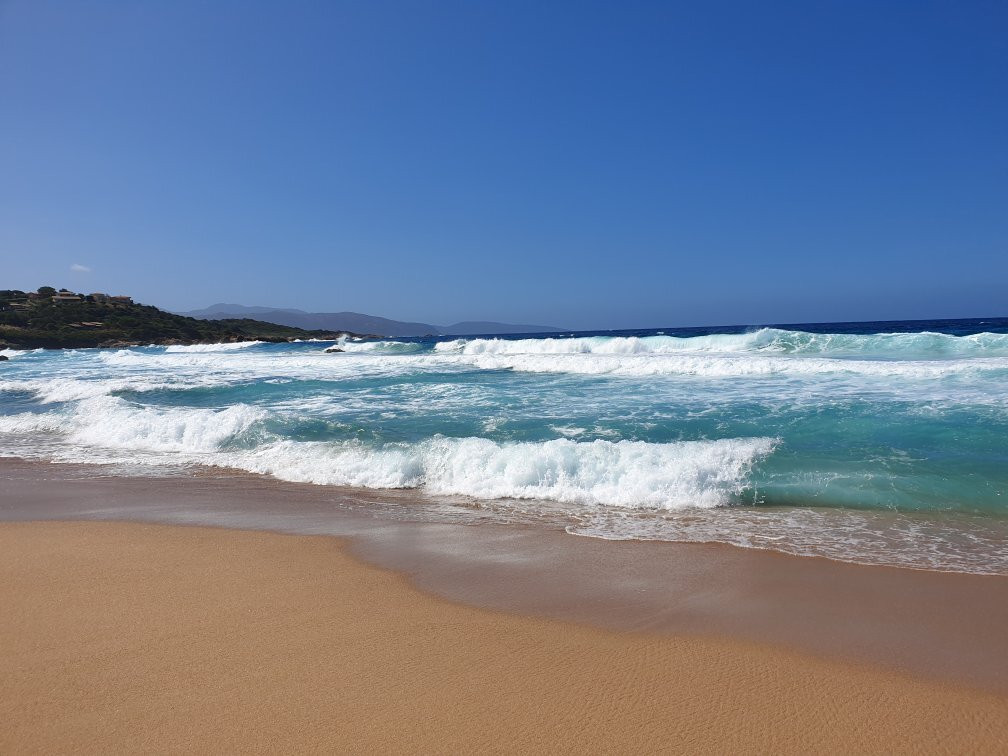 Plage de Sagone景点图片