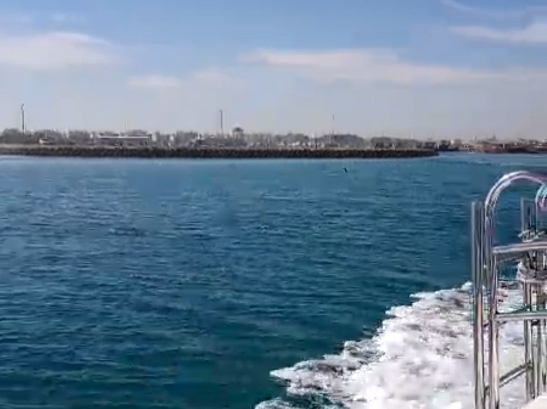 Sea Addicts-Al Hidd必去景点