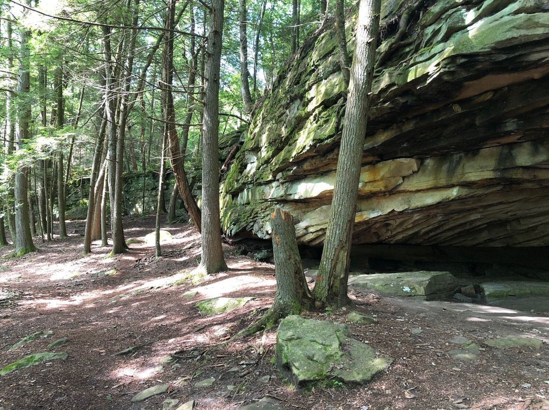 Obed Wild & Scenic River-Wartburg必去景点