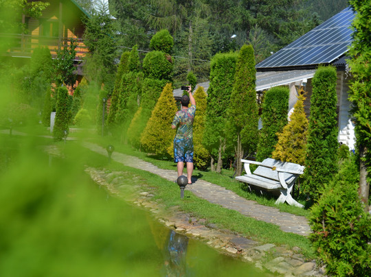 Vedmezhyi Dvir主图