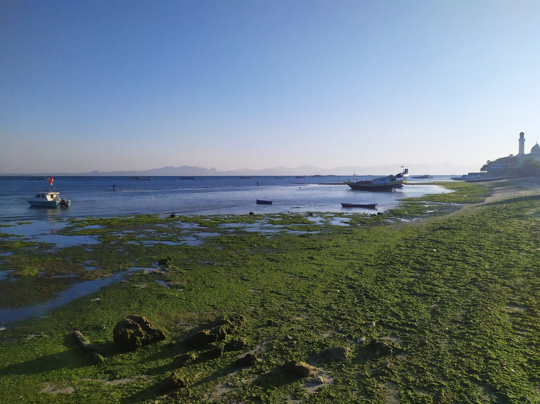 Pasir Panjang Beach景点图片