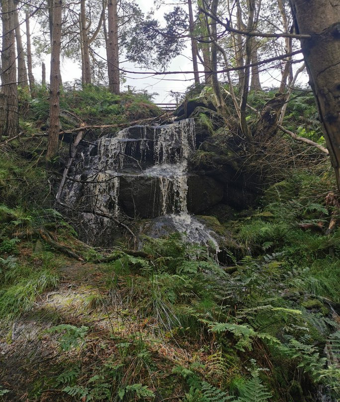 Thruscross Reservoir景点图片
