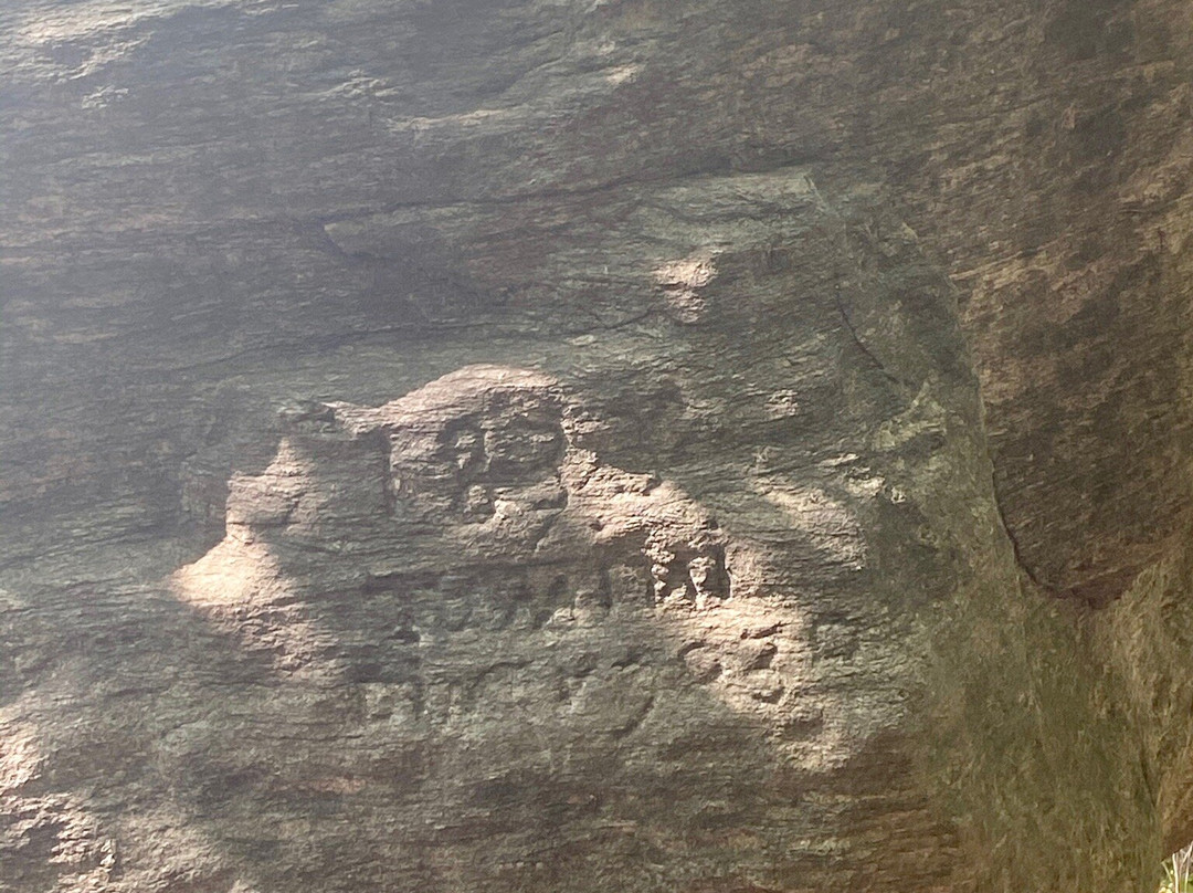 Sasso del Fungo景点图片