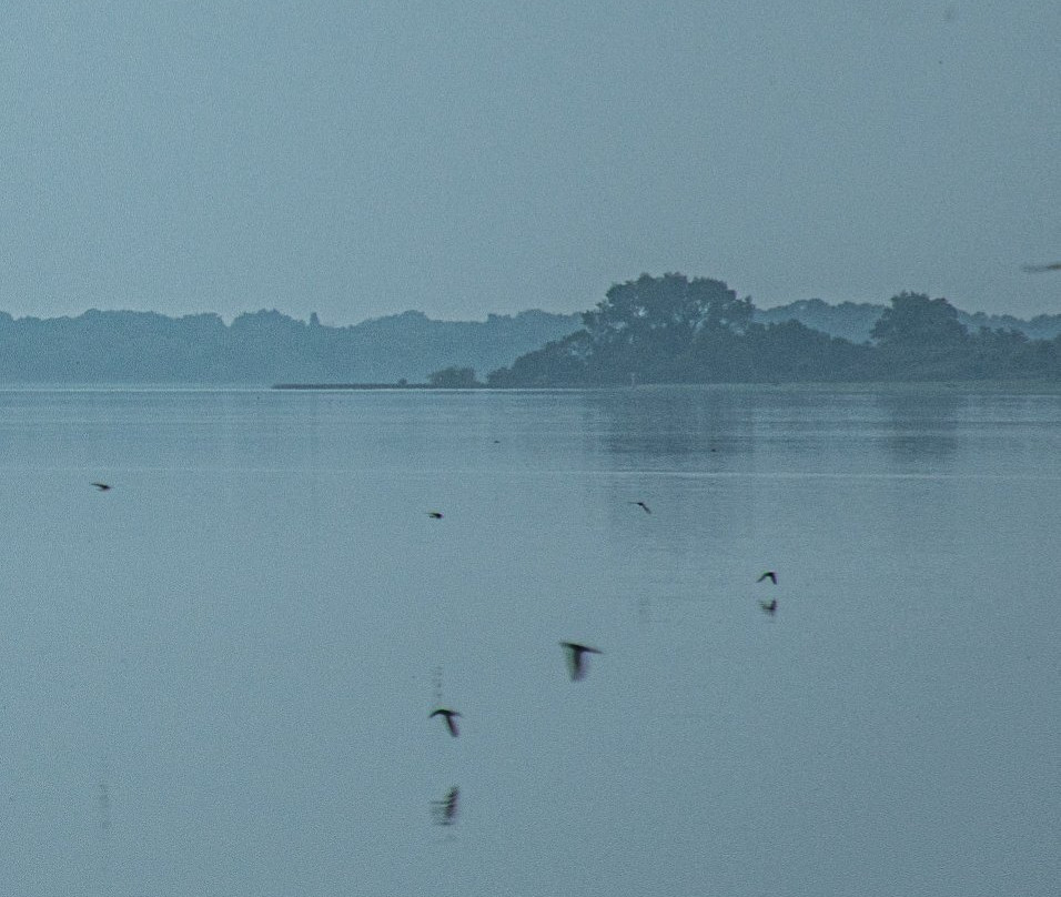 Saints Island景点图片