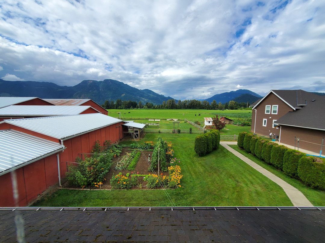 Blackberry Lane Bed and Breakfast主图