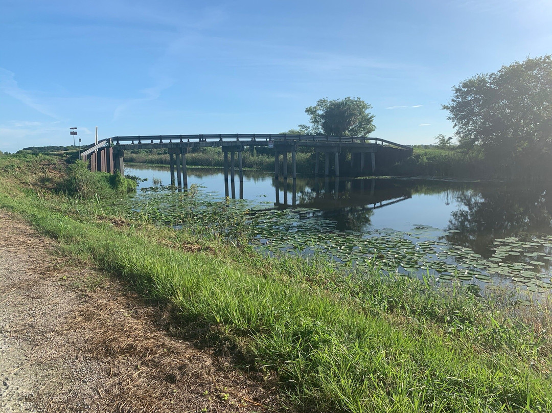 Lake Apopka Loop Trail-Apopka必去景点