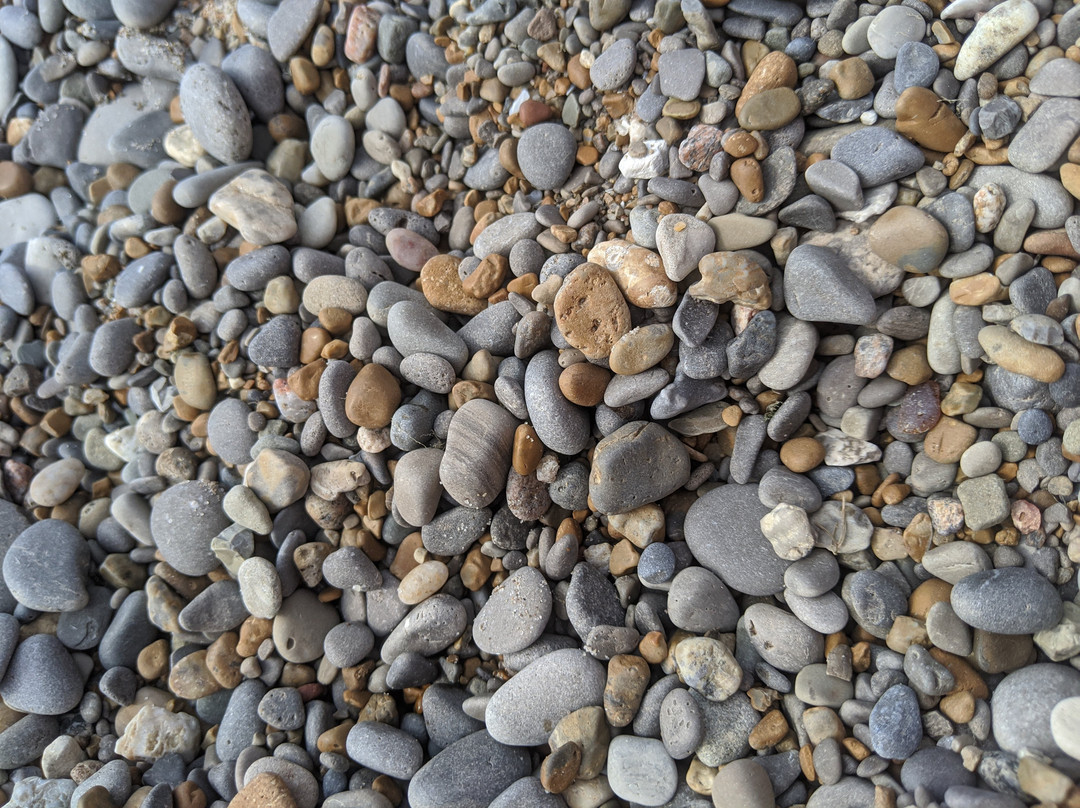 James N. Allan Provincial Park-Dunnville必去景点