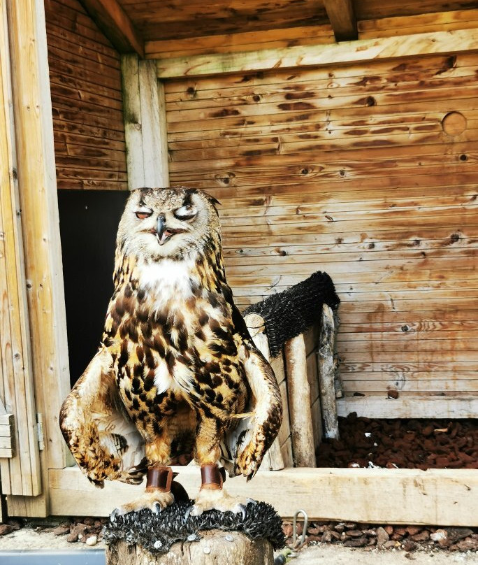 Parc Animalier du Herisson-Menetrux-en-Joux必去景点