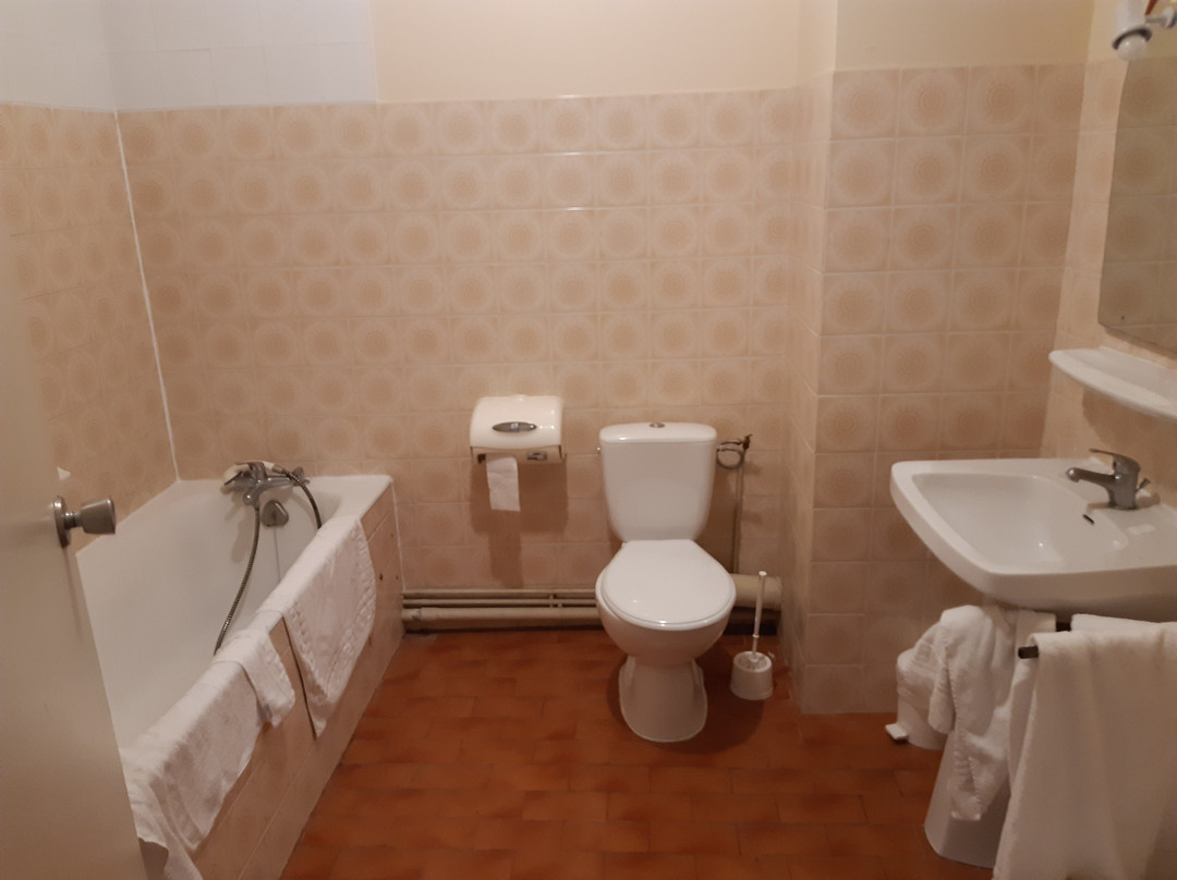 Brit Hotel du Laca主图