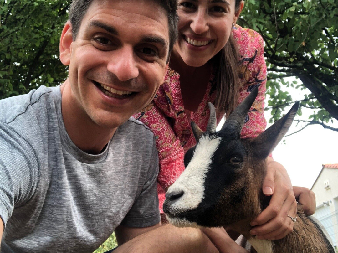 Les Persiennes主图