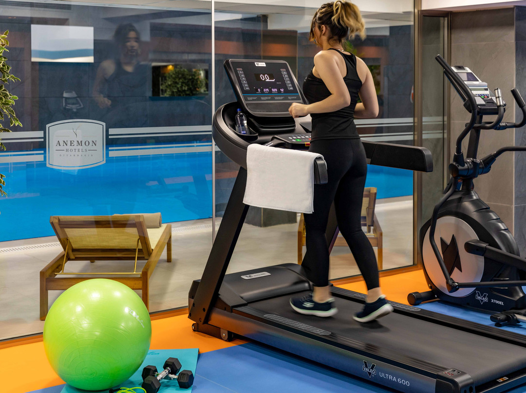 Anemon Diyarbakir主图