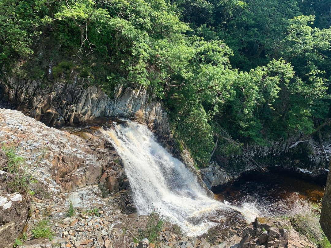 Coed y Brenin Forest Park景点图片