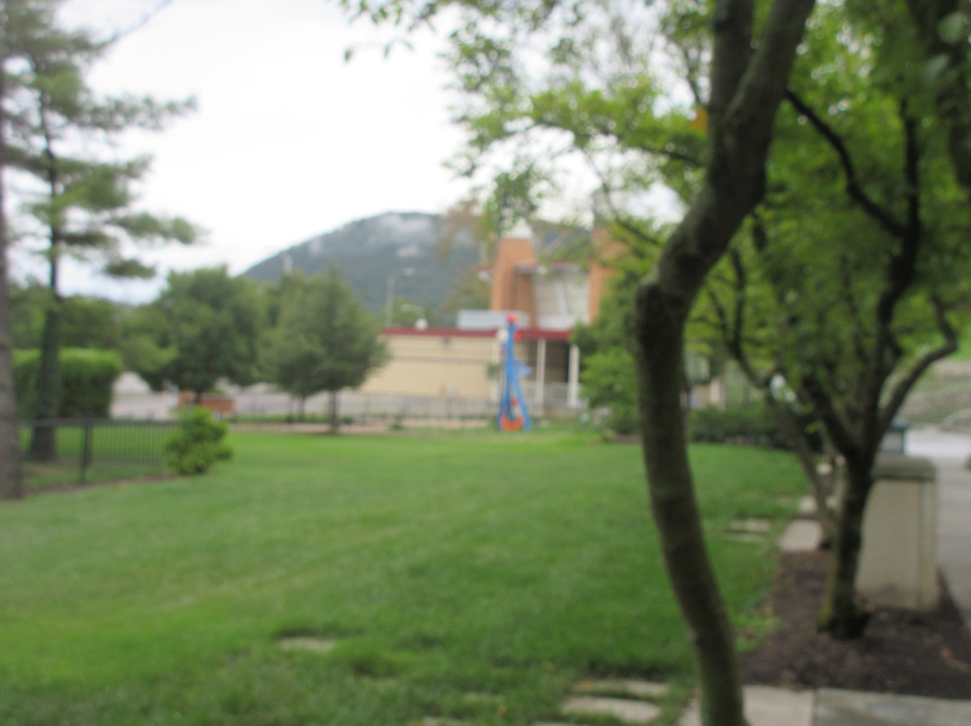 Elmwood Park-罗阿诺克必去景点