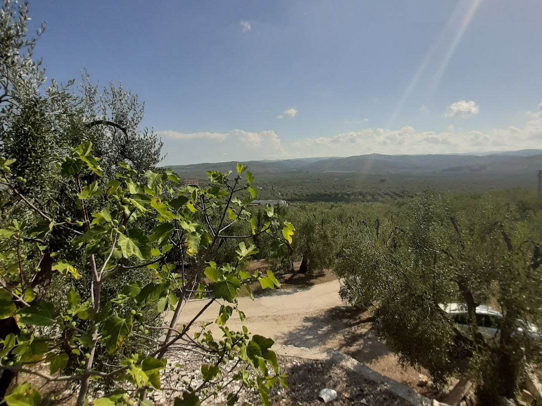 B&B Borgo Degli Ulivi主图