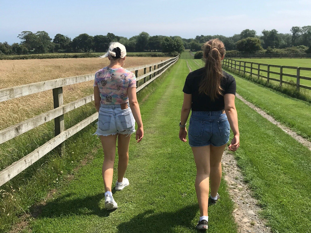 Glenroe Farm-Kilcoole必去景点
