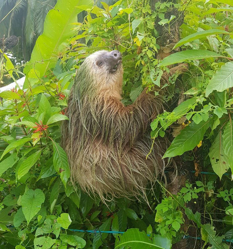 Transunshine-圣何塞必去景点