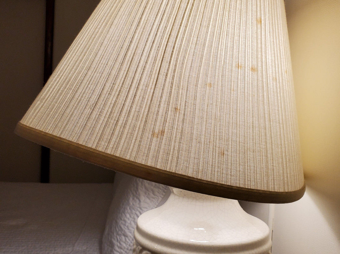 Daunt's Albatross主图