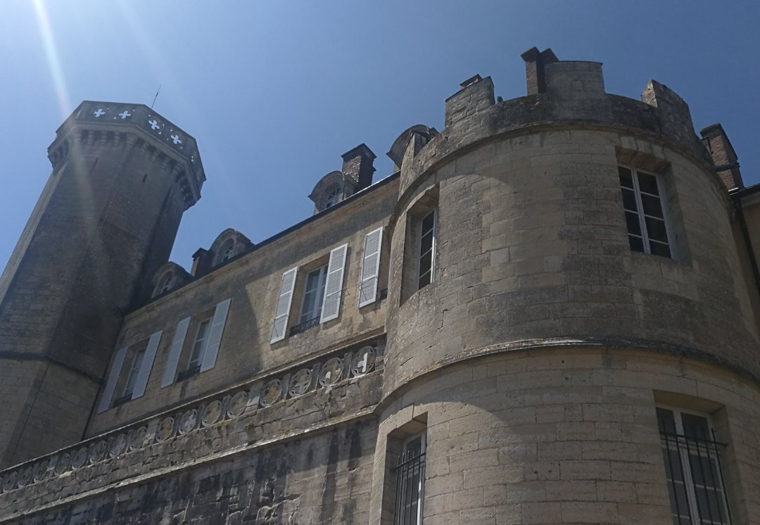 Chateau de Montmirail景点图片