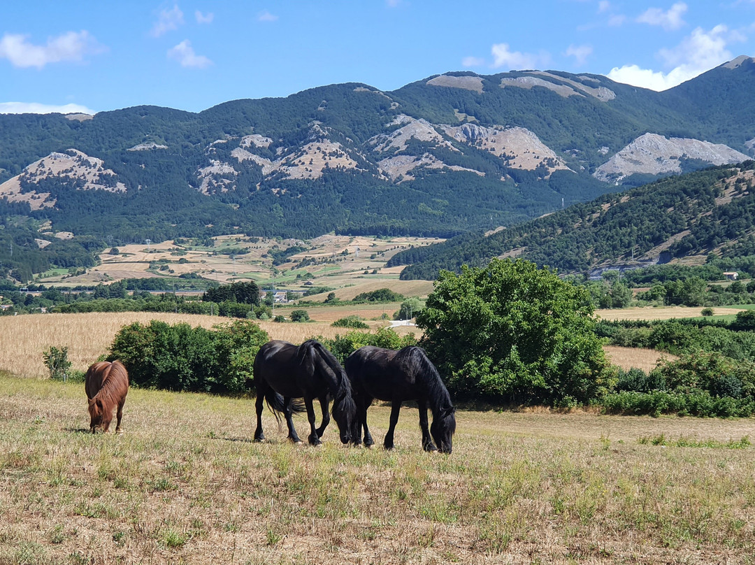 Green House B&B主图