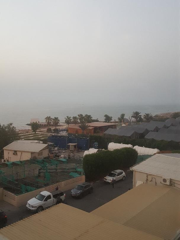 阿斯阿尔凯麦海滩酒店主图