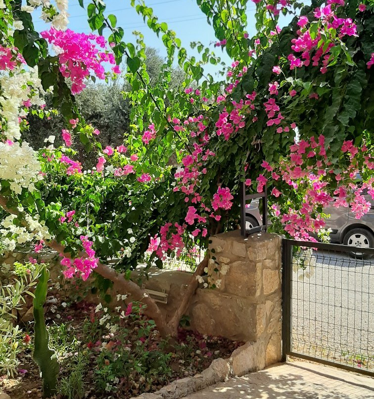 Datça Suites Boutique Hotel主图