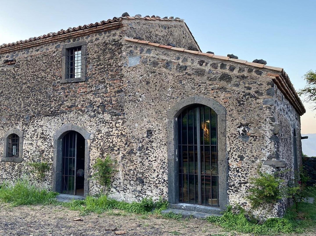 Planeta Winery景点图片