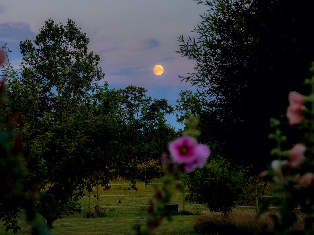 Lunkaberg Bed & Breakfast主图