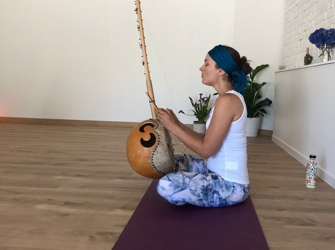 The Yoga House Seignosse景点图片
