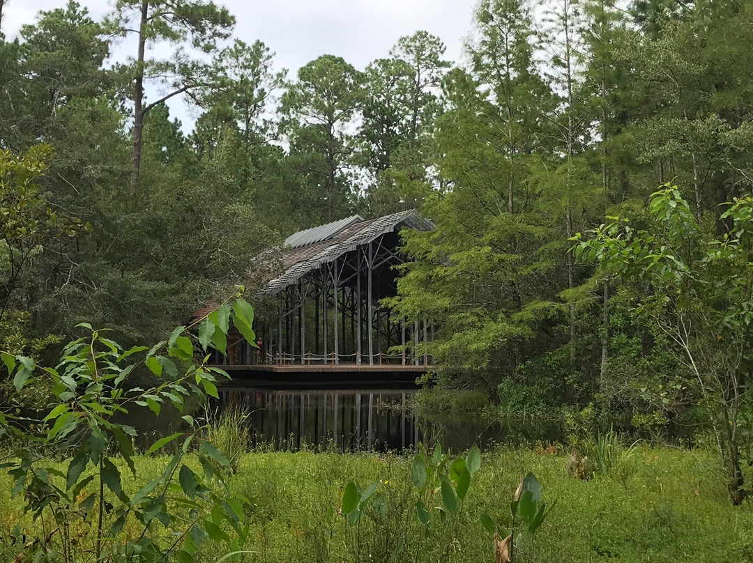 Crosby Arboretum-Picayune必去景点