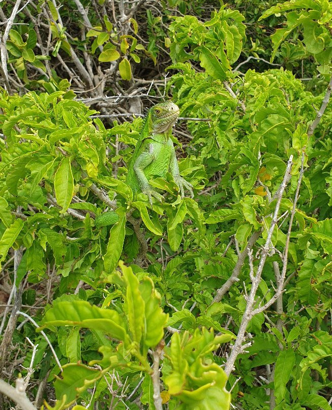 Miami Vice-Saint Francois必去景点