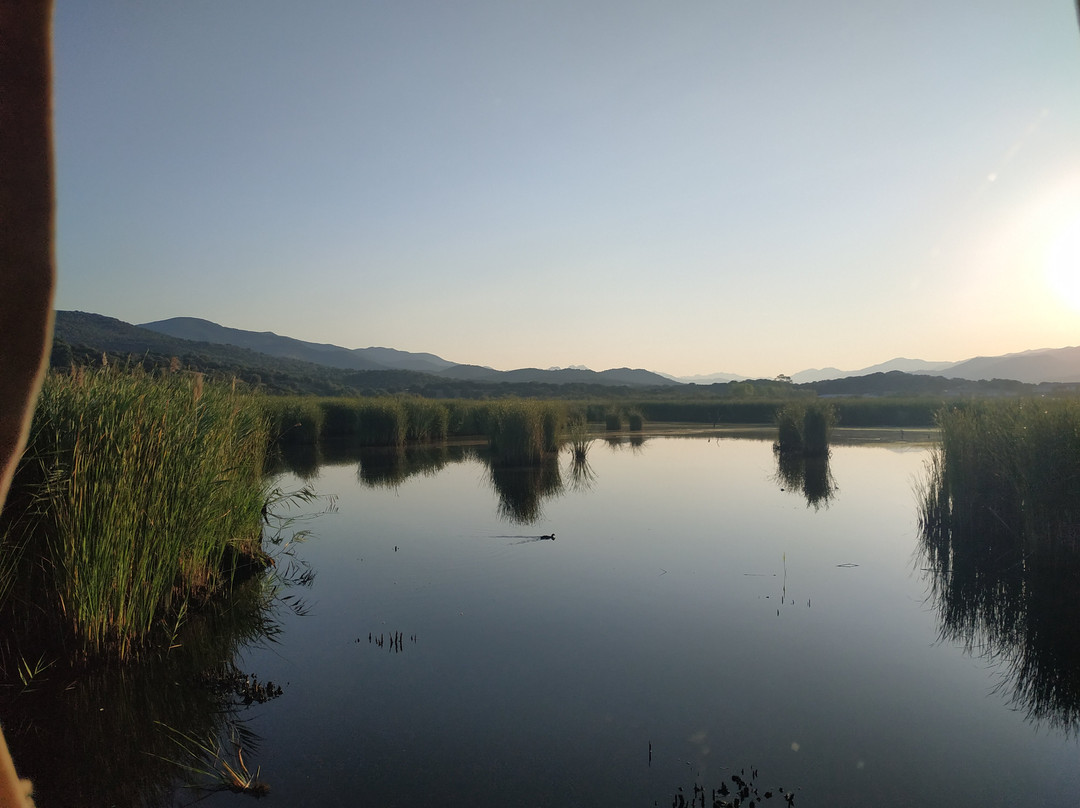 Etang de Tanchiccia-Serra-di-Ferro必去景点