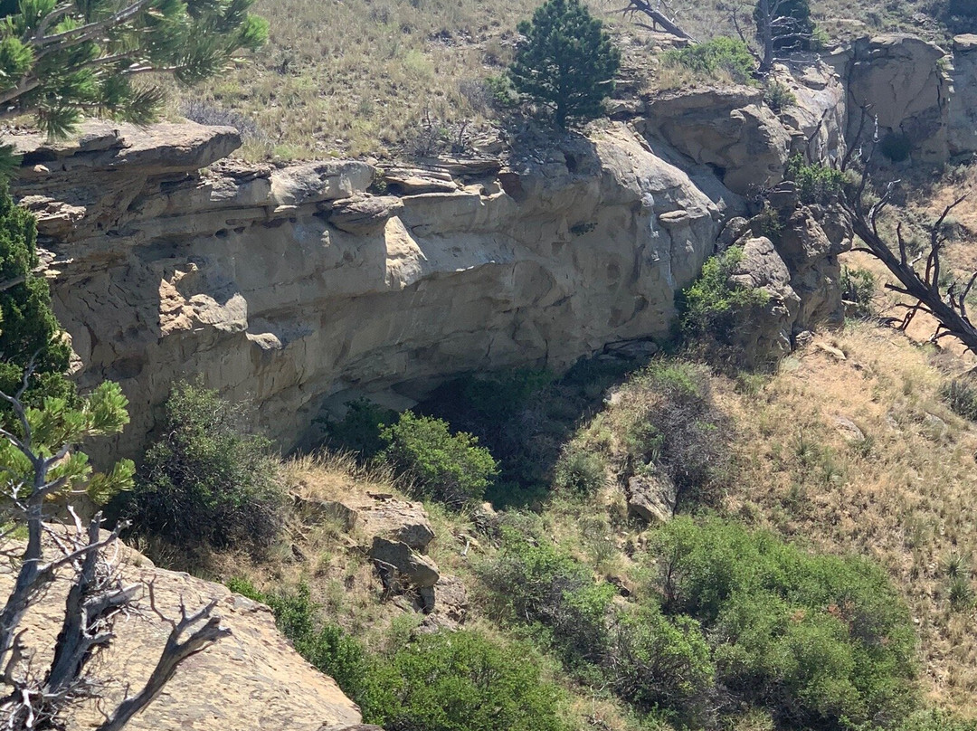 The Rimrocks-比灵斯必去景点