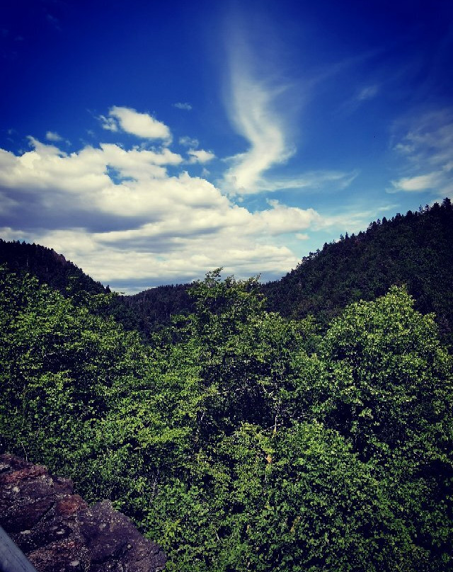 Wieladingen-Rickenbach必去景点