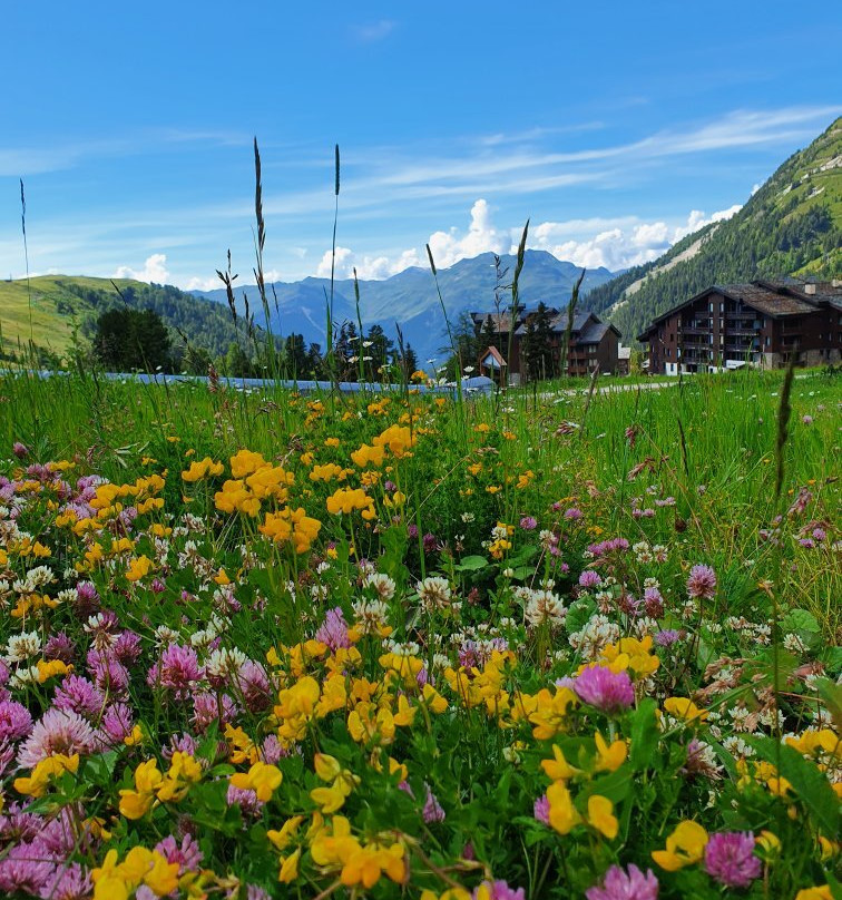 La Plagne Resort景点图片