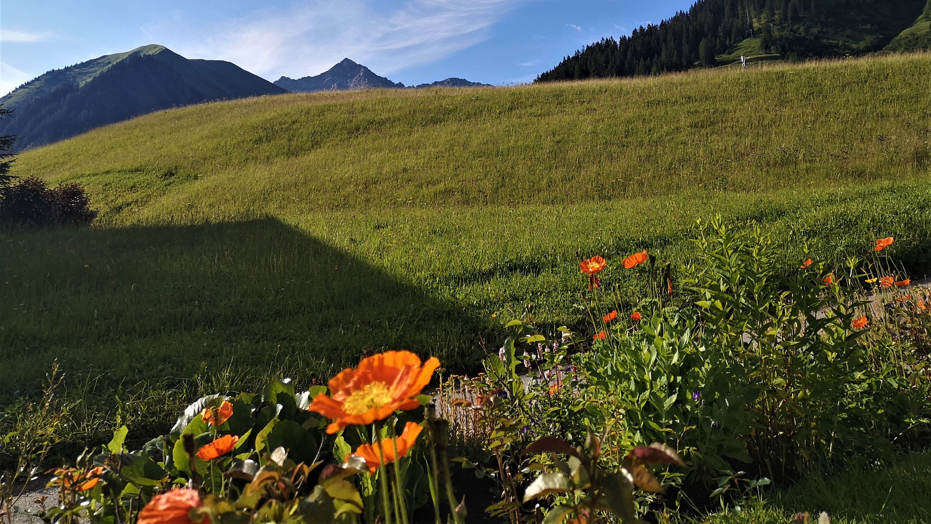 Quartier Severin-浴室