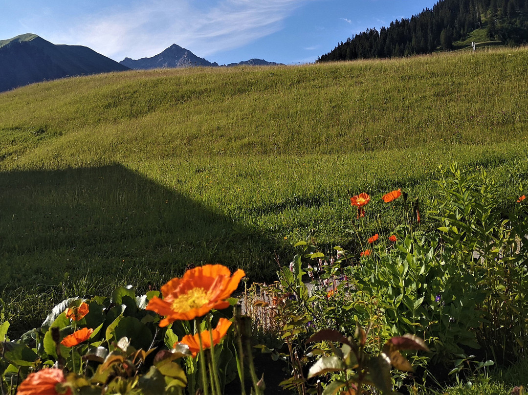 Quartier Severin主图