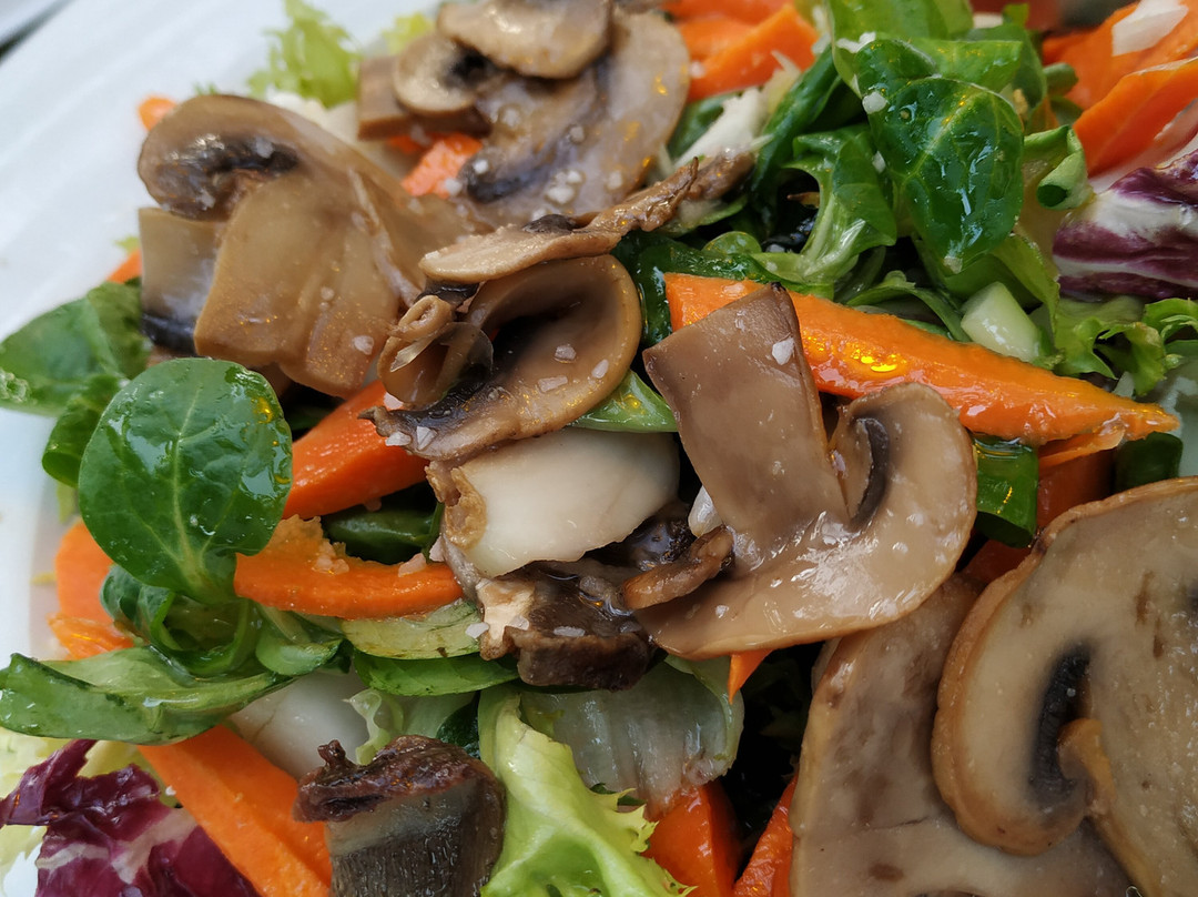 Paraiso Perdido主图