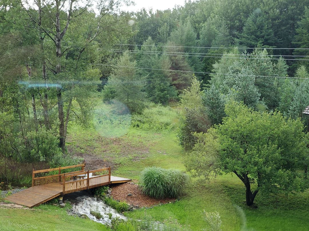 The House on the Hill Bed and Breakfast主图