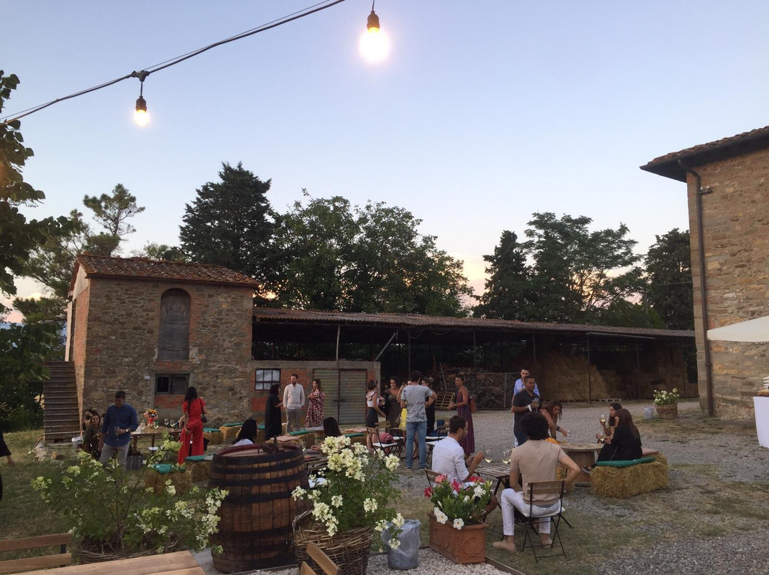 Perelli Winery景点图片