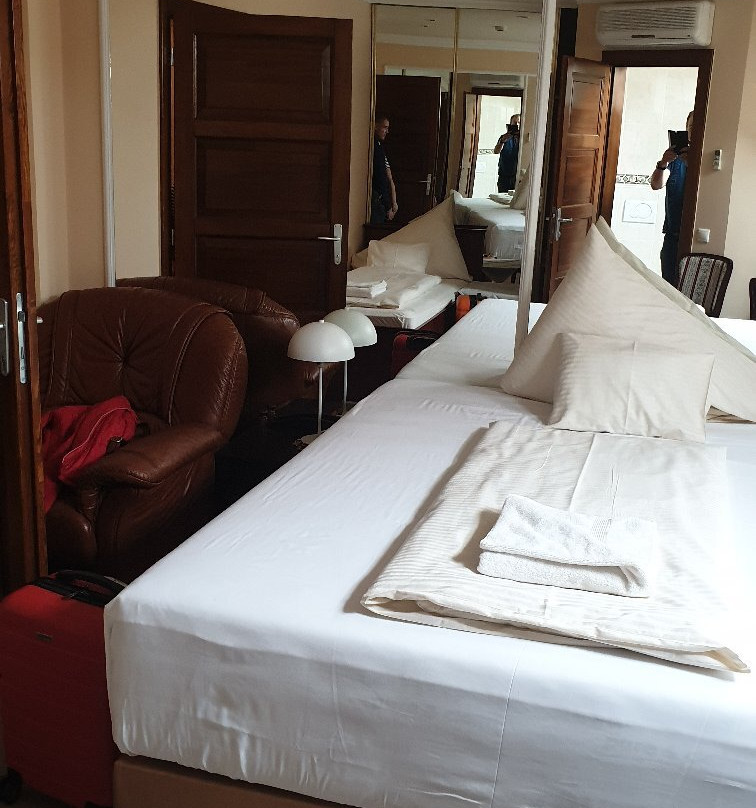 Kaiser Panzio Hotel主图