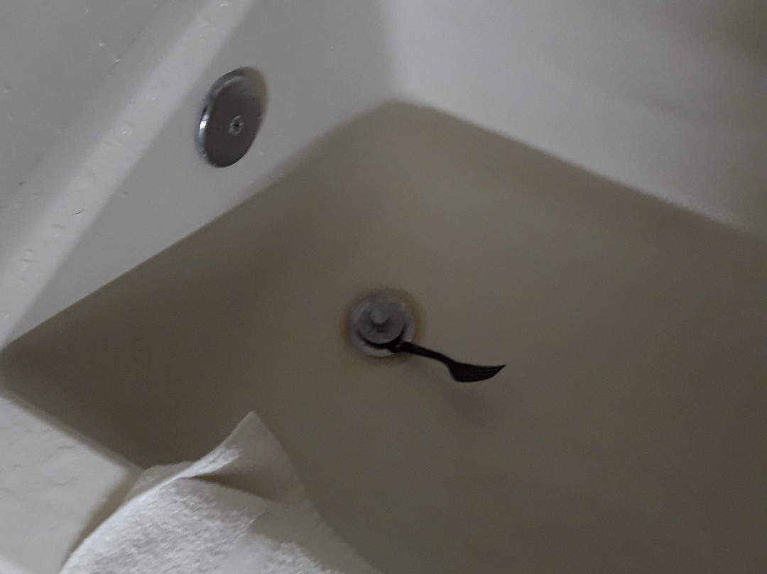 Vagabond Inn Executive - Green Valley Sahuarita主图