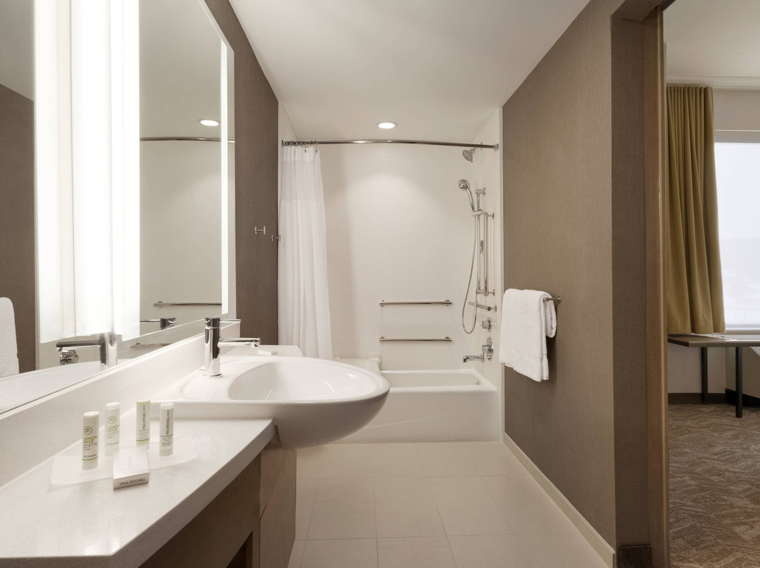 SpringHill Suites by Marriott Allentown Bethlehem/Center Valley主图